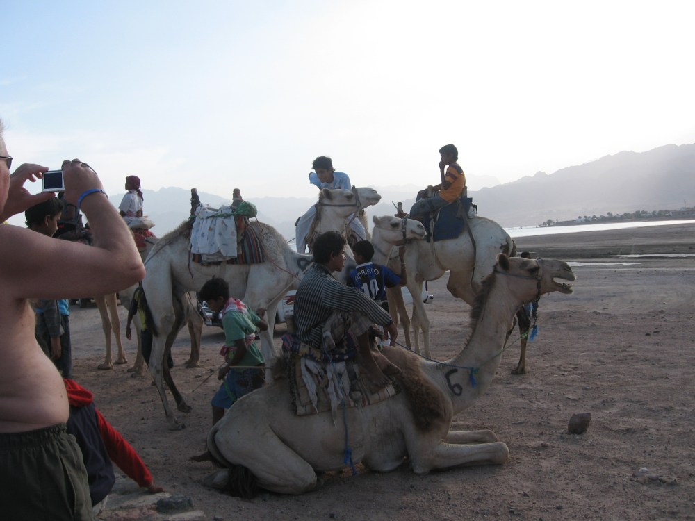 Camel Race Dahab Festival and Dahab Bedouin Festival 2011