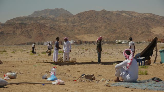 Setting up Dahab Bedouin Festival 2013