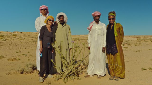Springtime desert excursion Dahab Bedouin Festival 2014